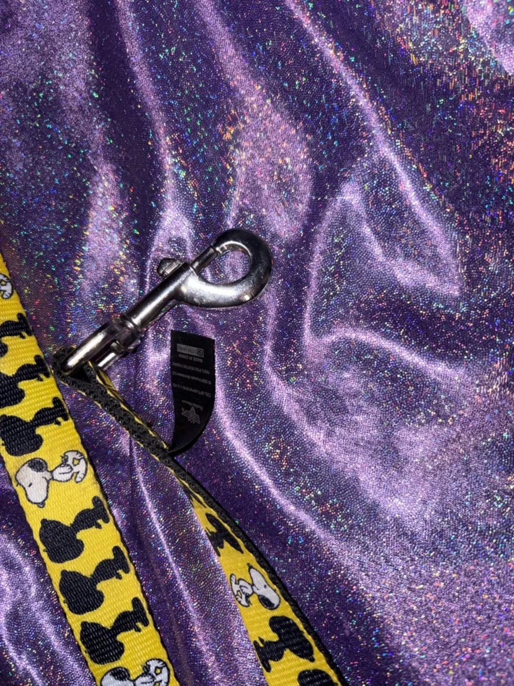 Snoopy Dog Leash
